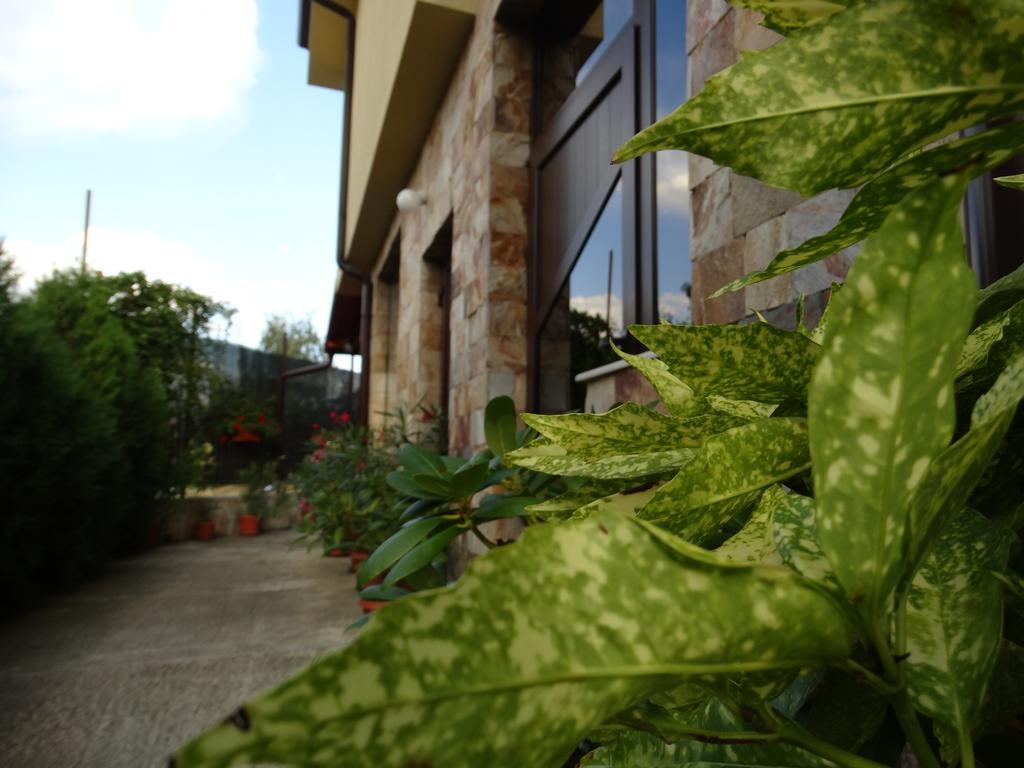 Guest House Ivel Sapareva Banya Exterior foto