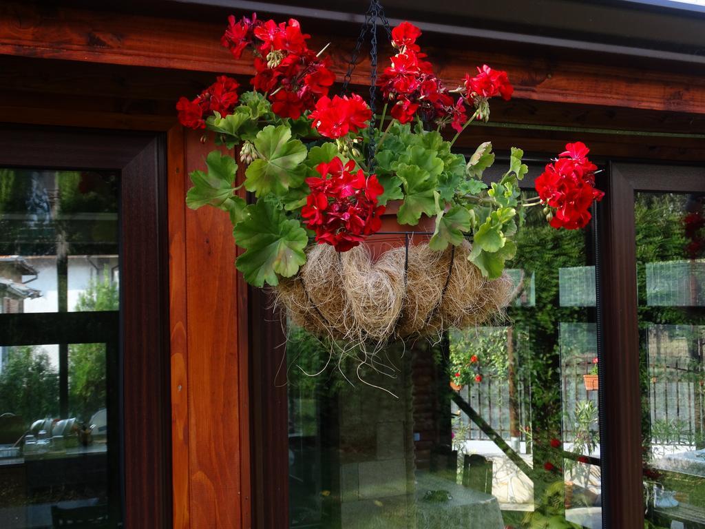 Guest House Ivel Sapareva Banya Exterior foto